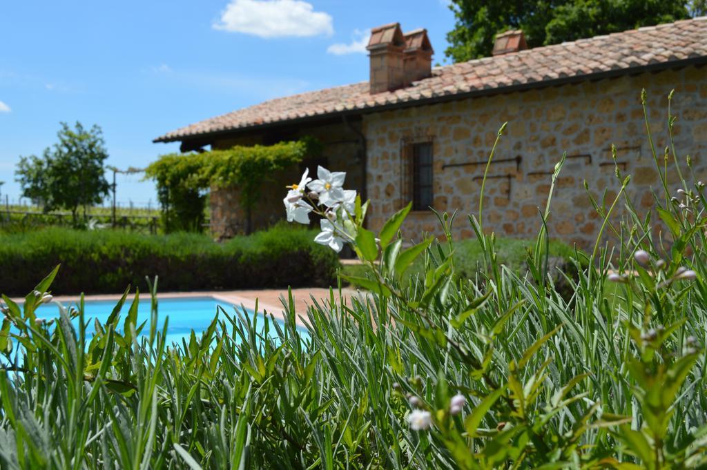 Agriturismo Eco-Bio Villa Vacasio Pitigliano Exterior photo