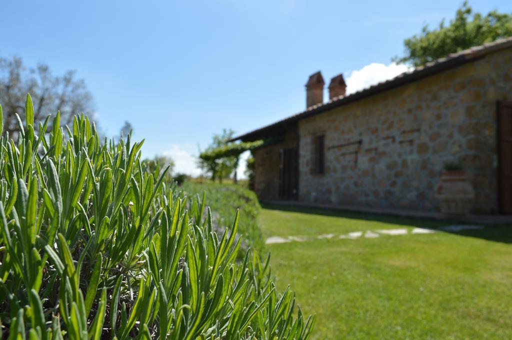 Agriturismo Eco-Bio Villa Vacasio Pitigliano Exterior photo